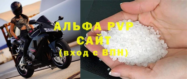 молекула духа Бородино