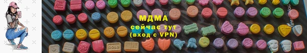 молекула духа Бородино